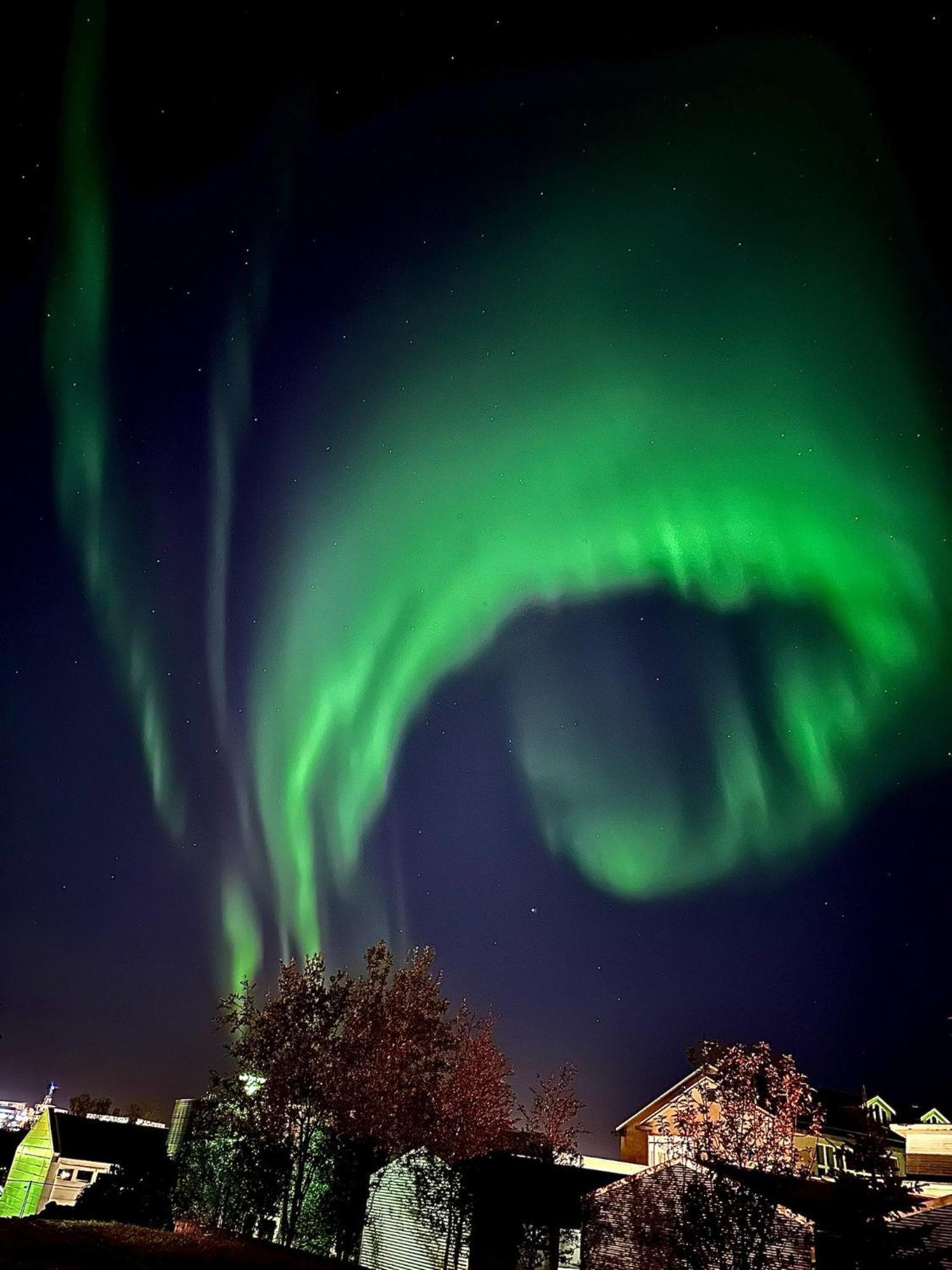 Casa Disa - Dreams, A Boutique Guesthouse In Reykjavik City'S Central Park And Botanical Garden In Laugardalur, Hot-Spring-Valley Extérieur photo